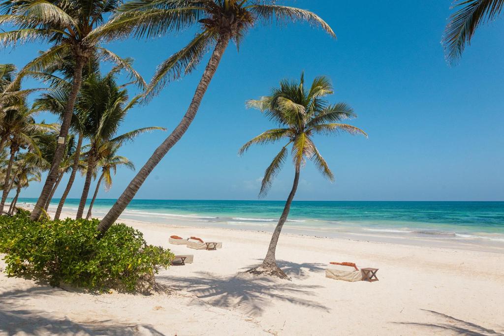 The Beach Tulum Hotel The Beach Tulum Hotel