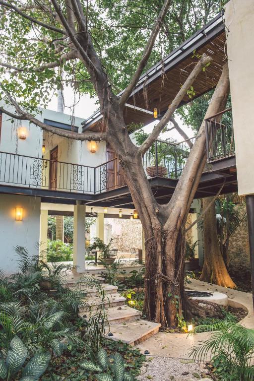 TreeHouse Boutique Hotel, an adults only boutique hotel TreeHouse Boutique Hotel, an adults only boutique hotel