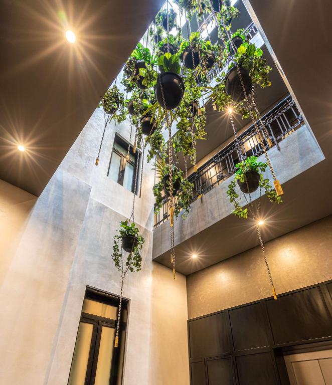 Umbral, Curio Collection By Hilton Umbral, Curio Collection By Hilton