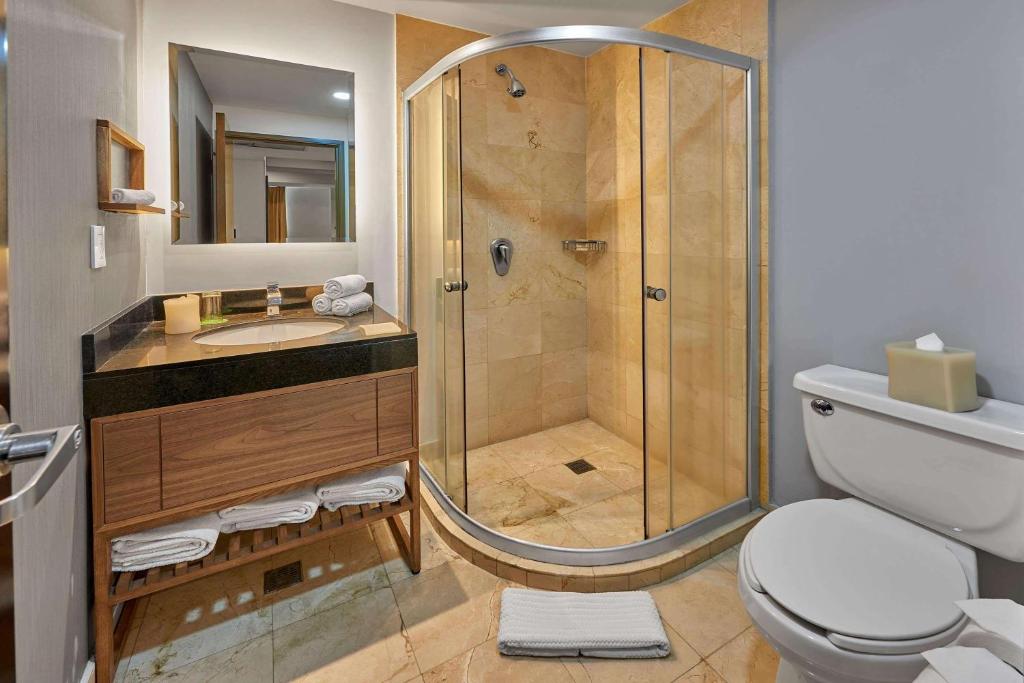 Wyndham Garden Mexico City – Polanco Wyndham Garden Mexico City - Polanco